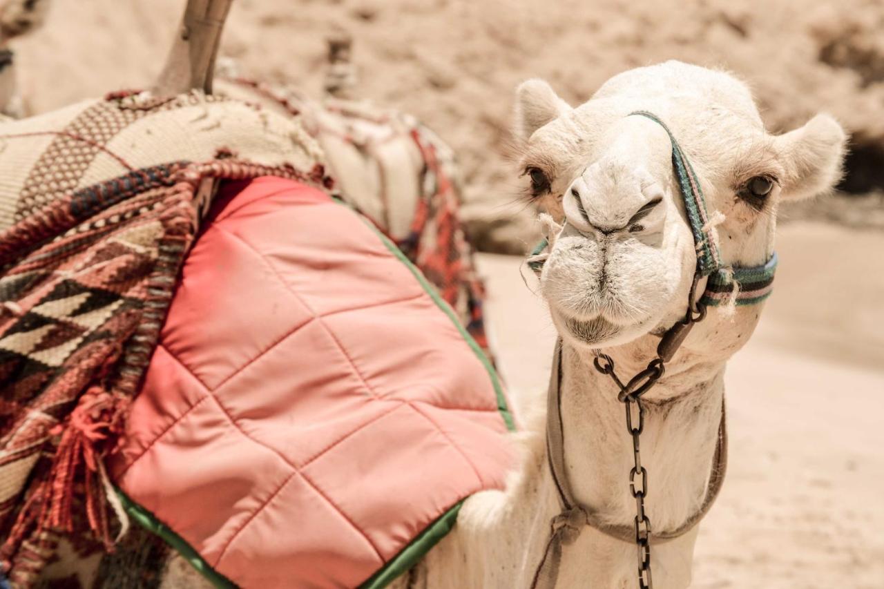 Marsa Shagra Village Abu Dabab Ngoại thất bức ảnh